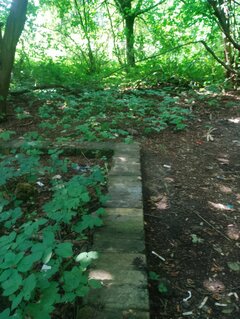 2859.jpg