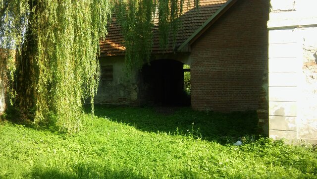DioNizy45