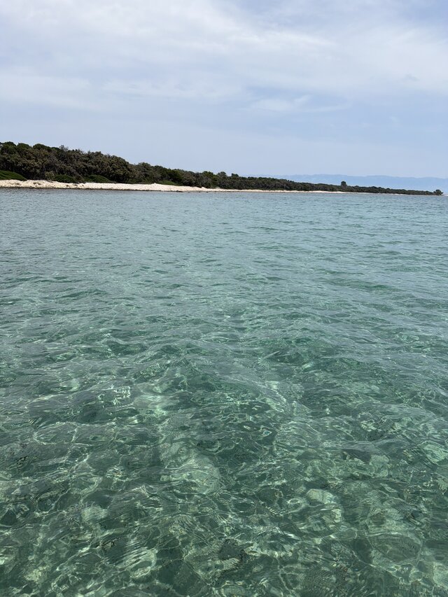 Onjaspis