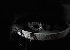 IMG_1102.jpeg