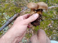 IMG_20260717_172226_790.jpg