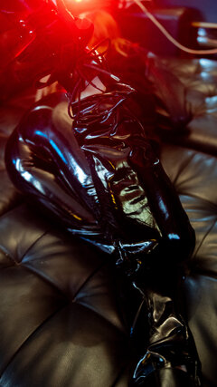 DSC0349d1.jpg