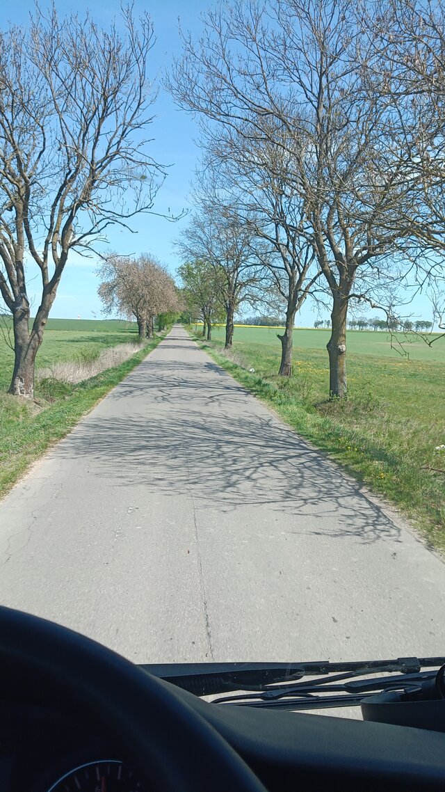 Hejdzo