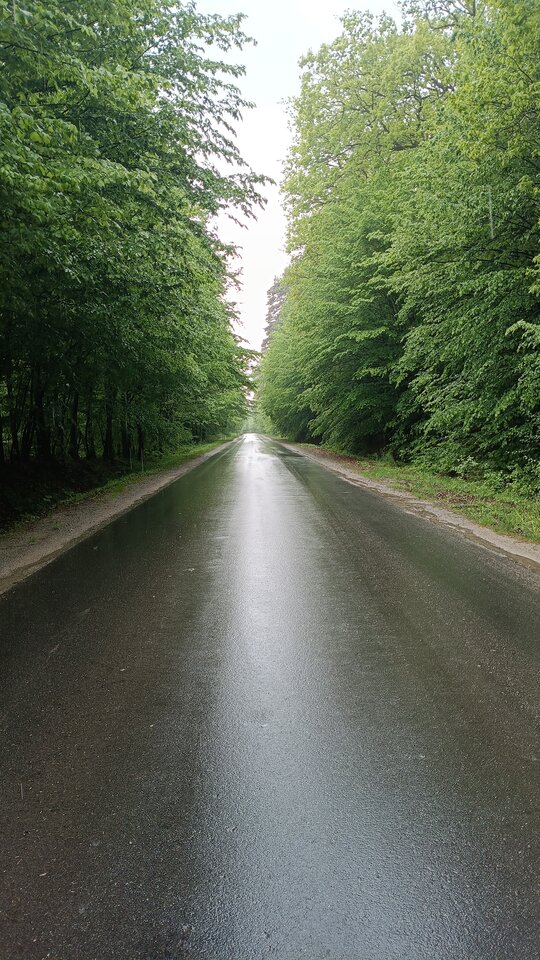 1000033915.jpg - Hejdzo