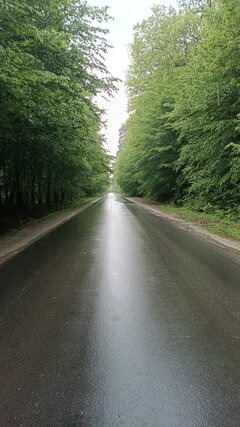 1000033915.jpg