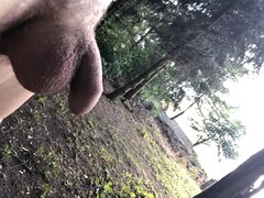 IMG_4109.jpeg