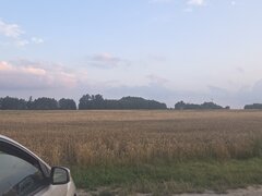 1000009141.jpg