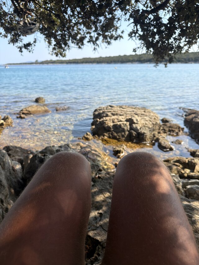 Onjaspis