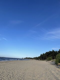 IMG_2518.jpeg