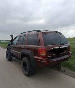 IMG_1117.jpeg