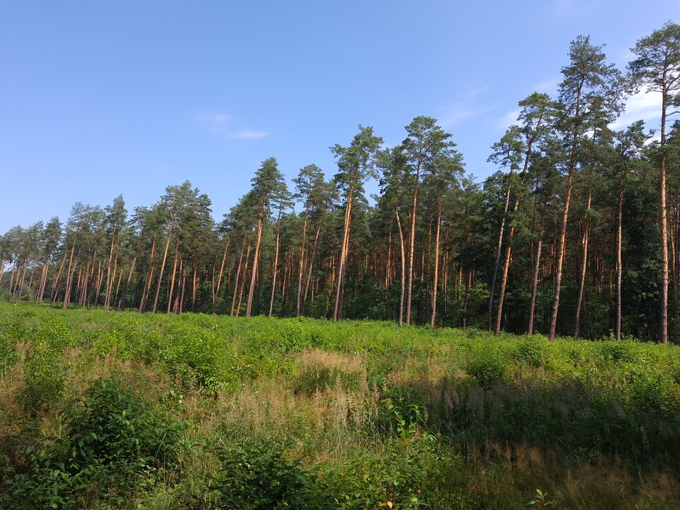 20260718_110410.jpg - Antuan00
