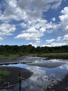 IMG_7387.jpeg