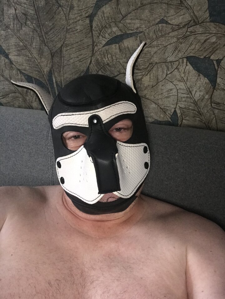 image.jpg - AdamMio
