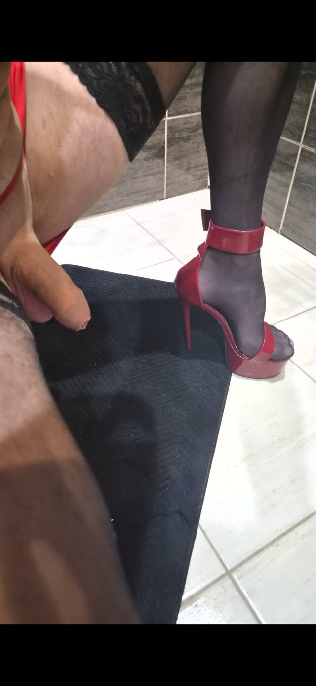 TransKasia24
