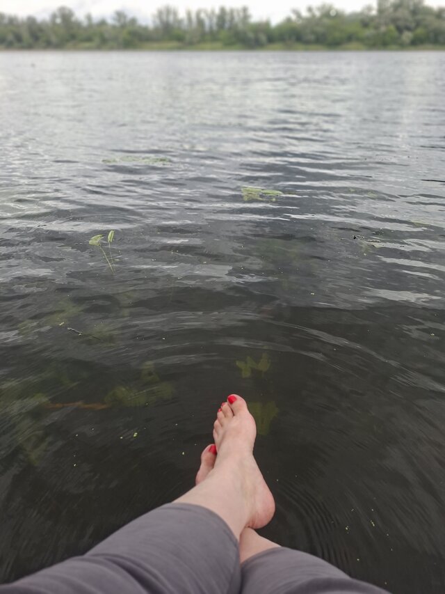 Wredotaa