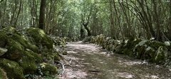 IMG_2280.jpeg