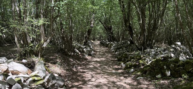 Trawersa2