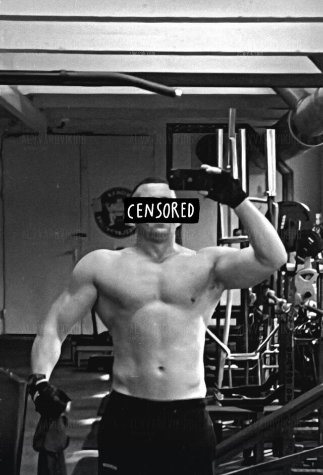 Alvvaroviking