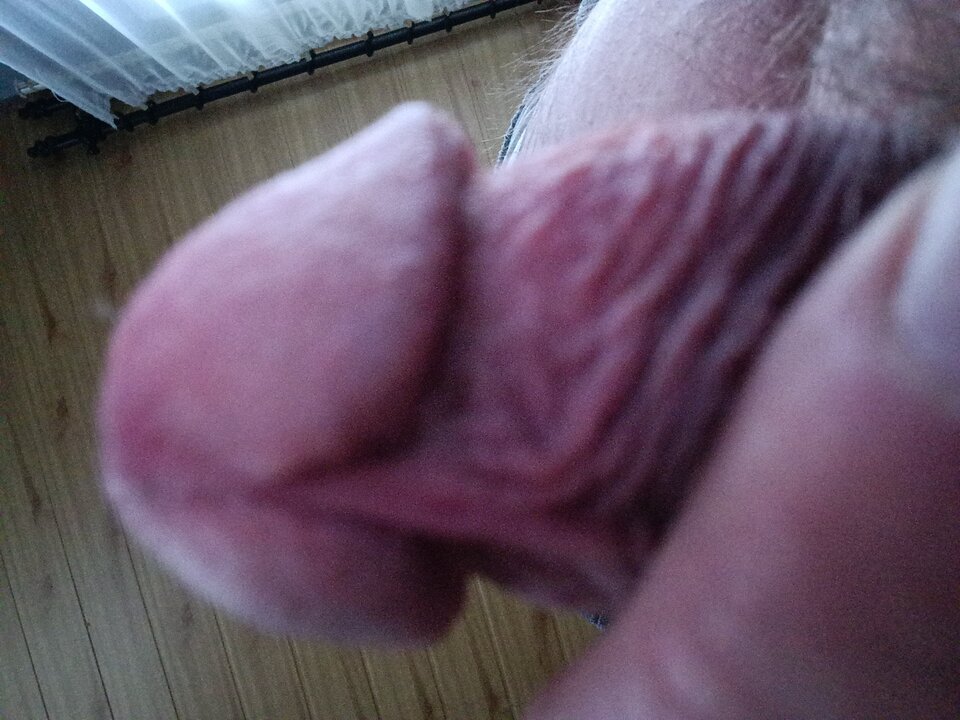 1000003601.jpg - Jendrek56