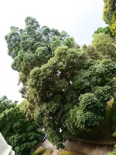 IMG_20260723_195258465~2.jpg