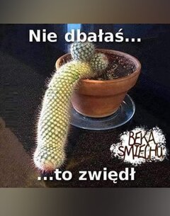 1000040882.jpg