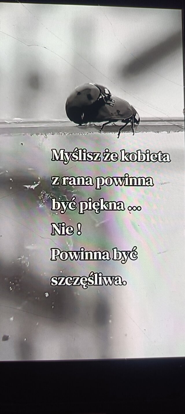 Mela81