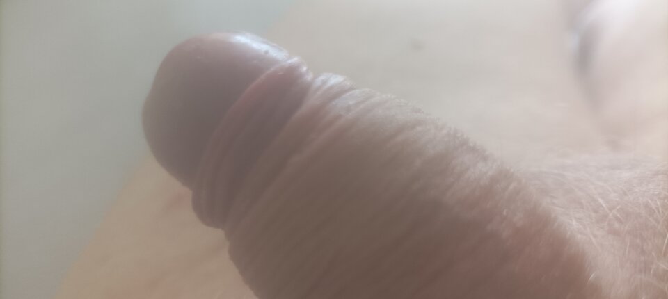 1000022110.jpg - hybris