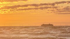 IMG_0379.jpeg