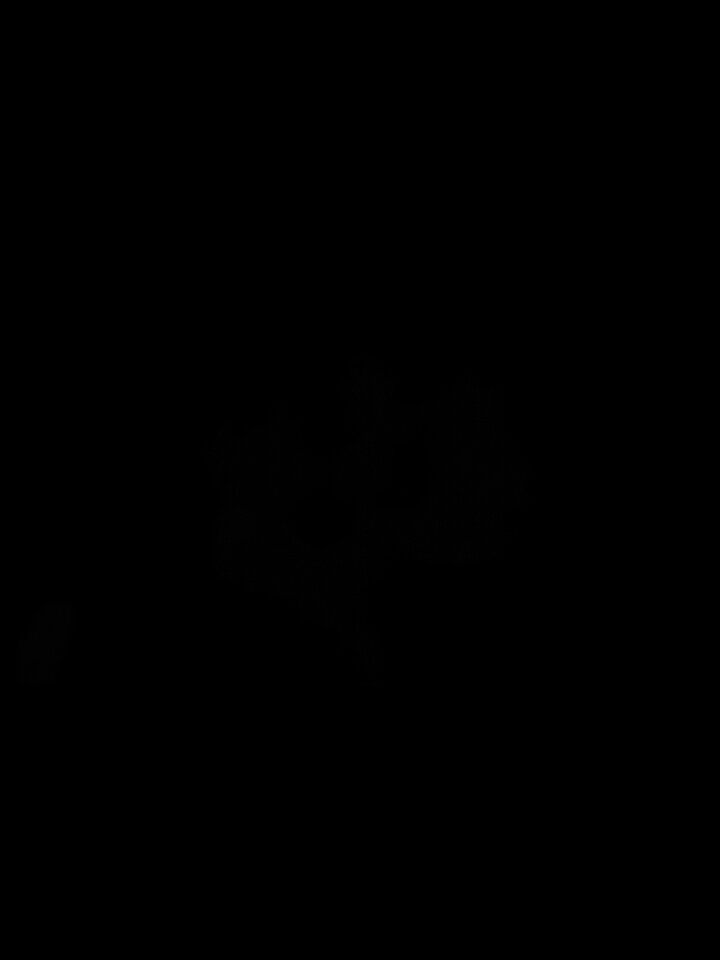 image.jpg - Maci3k77