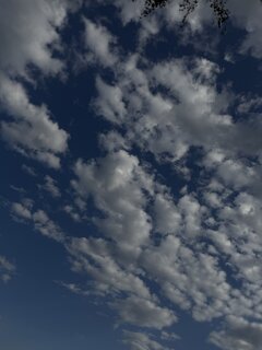IMG_2537.jpeg
