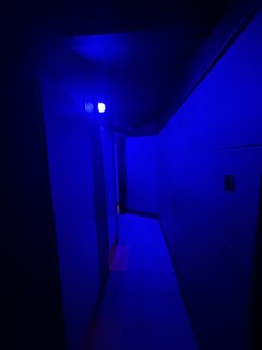 IMG_7454.jpeg