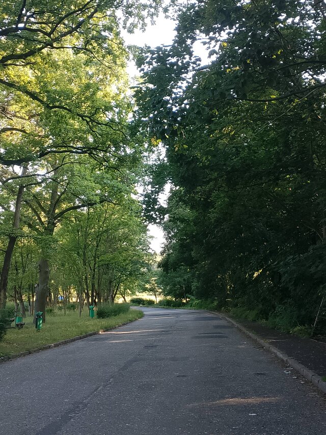 smartney