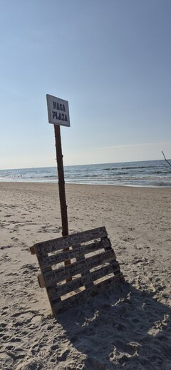 3791.jpg