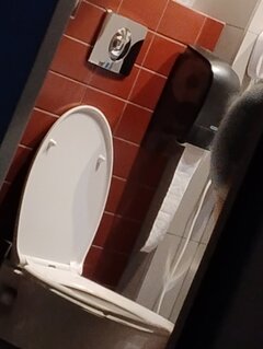 1000018114.jpg