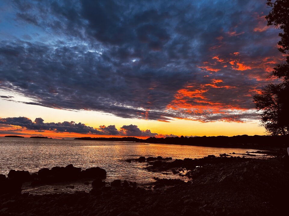 IMG_1990.jpeg - MNicko