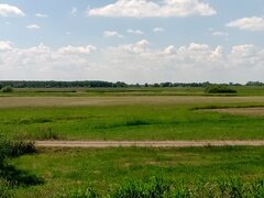 IMG_20210610_124753.jpg