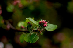 IMG_4967.jpg