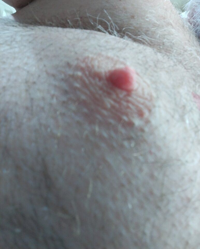 1000008233.jpg - Brodaty1969