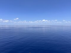 IMG_8516.jpeg