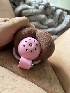 IMG_4360.jpeg