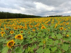 1000014928.jpg
