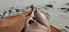 20260714_084813.jpg