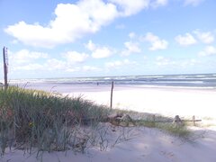 Dziś z plaży wiatr wygonił wszystkich. 