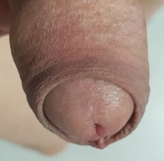 20260724_215219.jpg