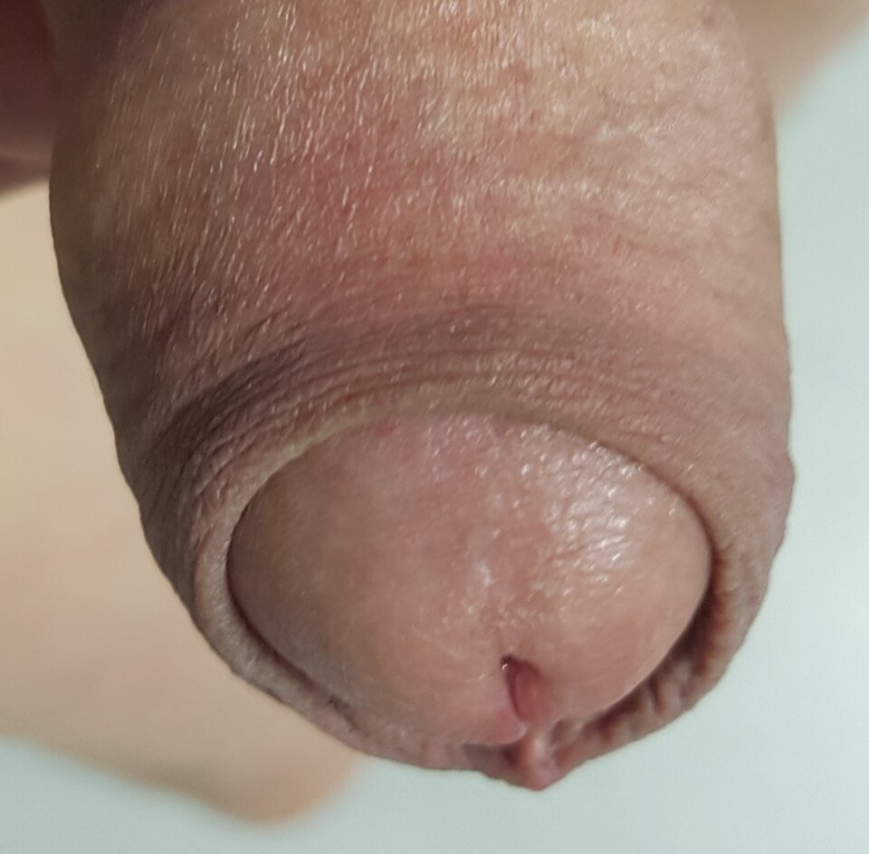 20260724_215219.jpg - Whitelittlecock