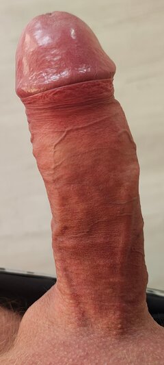 11359.jpg
