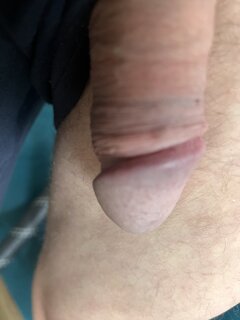 IMG_8647.jpeg