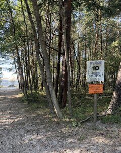 IMG_3704.jpeg