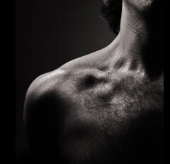 IMG_3331.jpeg