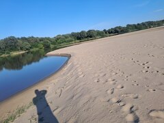 20260729_181620[1].jpg